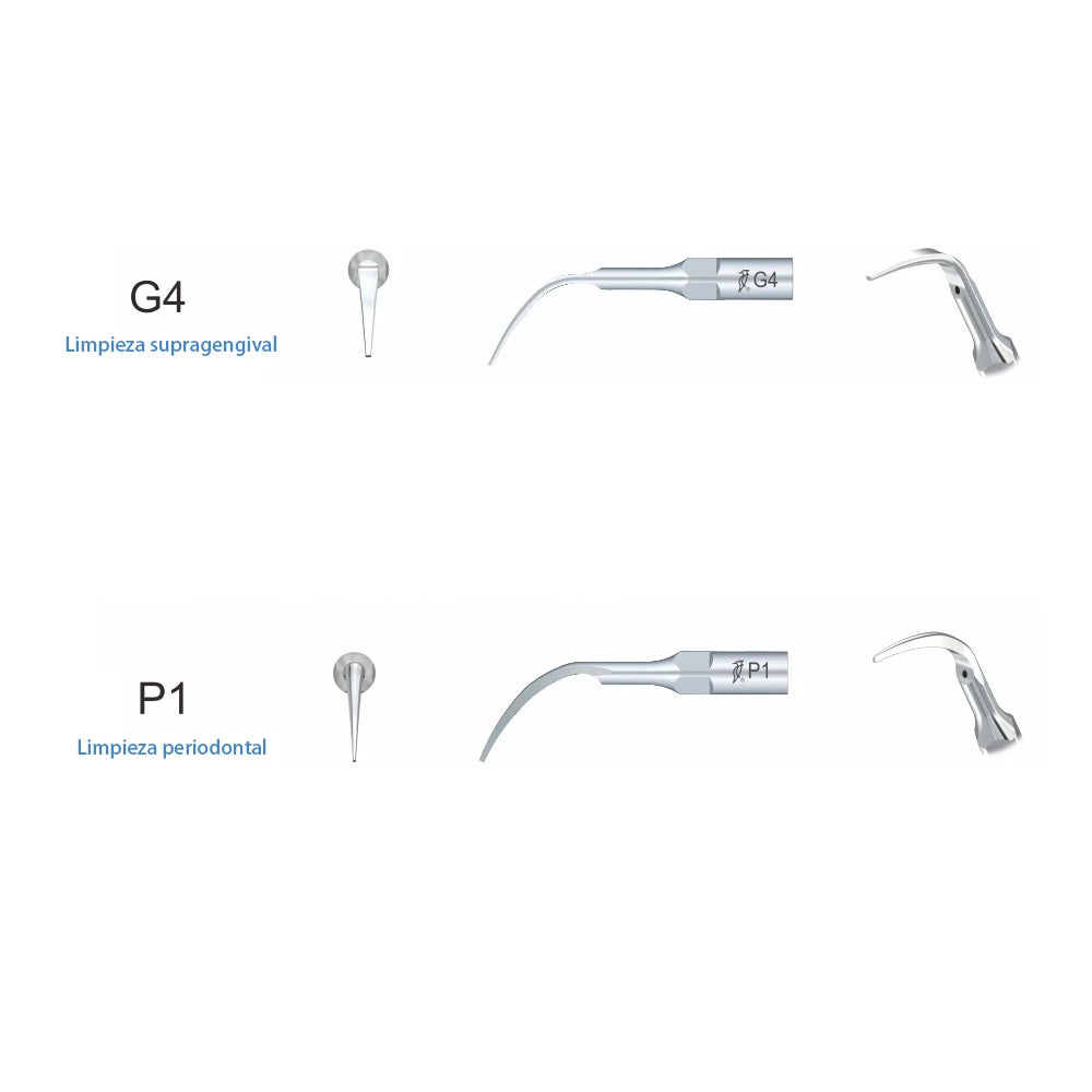 5 puntas de trabajo Wood-Pecker G1G2G3G4P1 para limpieza woodpecker dental  dental material