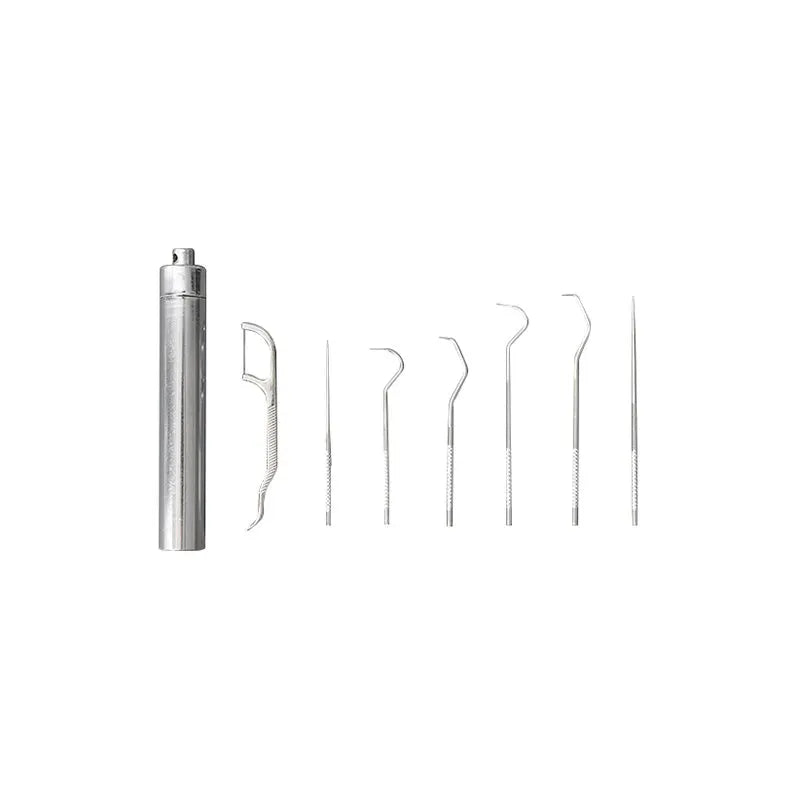 Stainless Steel Toothpick Set Portable Toothpick Holder Care Metal Dental Cleaning Tools Seven Pieces Set