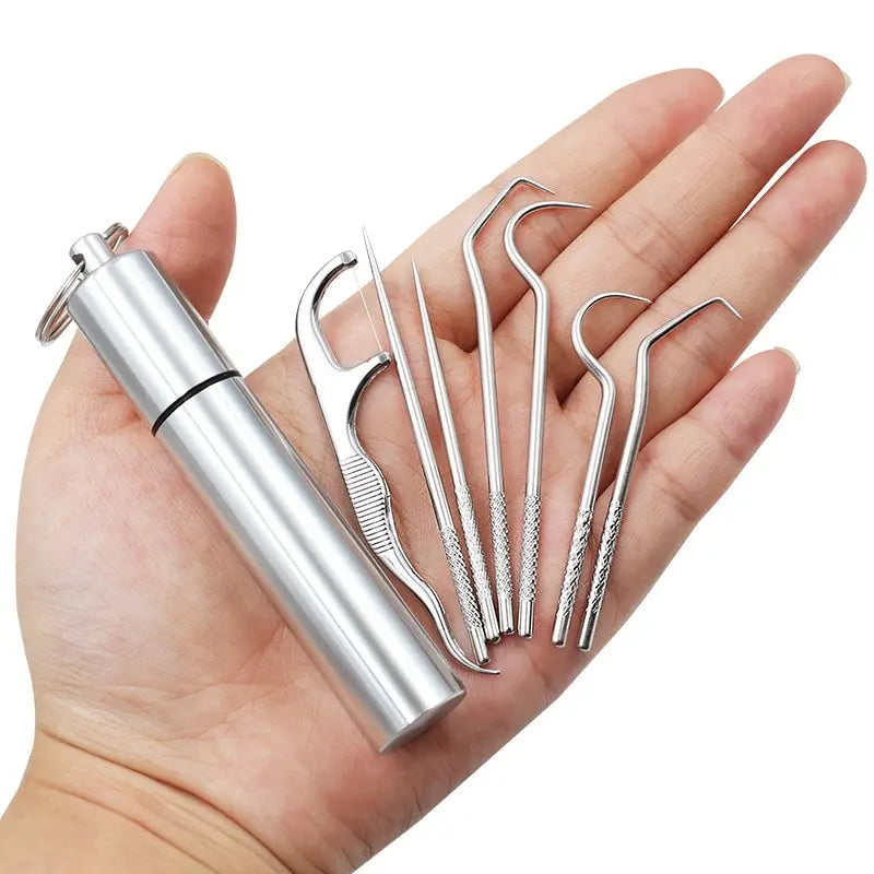 Stainless Steel Toothpick Set Portable Toothpick Holder Care Metal Dental Cleaning Tools Seven Pieces Set