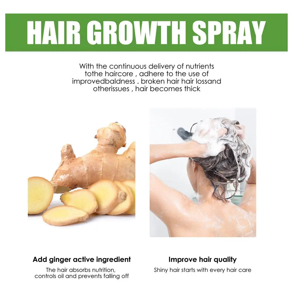 Hairrebirth Herbal Spray Regrowth Nourishing Ginger Oil Serum Promote Quickly Grow Thick Hair Growth Products For Men For Women