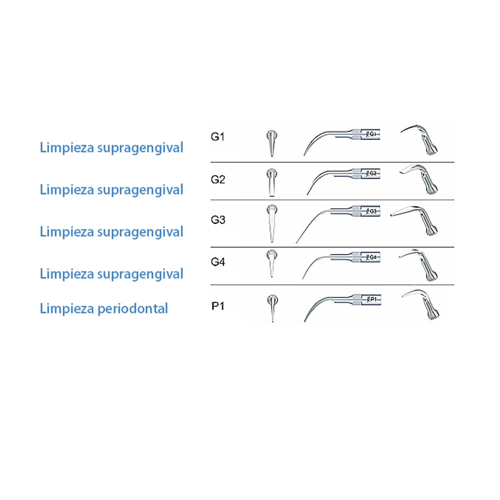 5 puntas de trabajo Wood-Pecker G1G2G3G4P1 para limpieza woodpecker dental  dental material