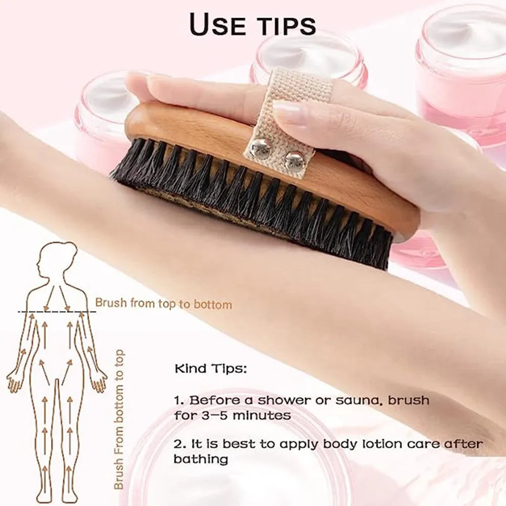 Natural Beech Bristle Brush Bath Brush Meridian Dredging Body Beech Wood Dry Brush Exfoliatin Massage Control Blood Circulation