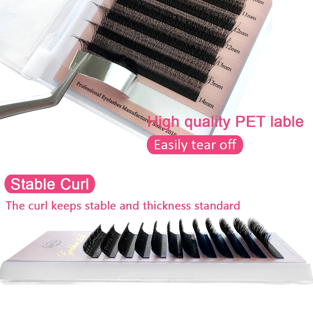 4DW Natural Soft High Quality Lashes Extensions 0.07 C/D