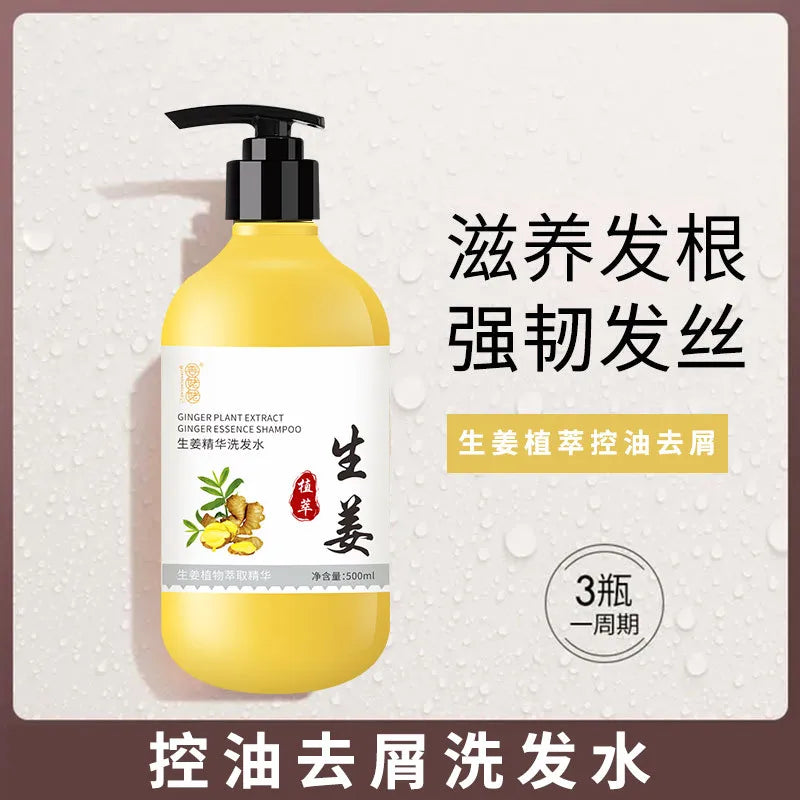 Ginger shampoo Refreshing oil-controlled, Anti-dandruff Nourish gentleness soothing.