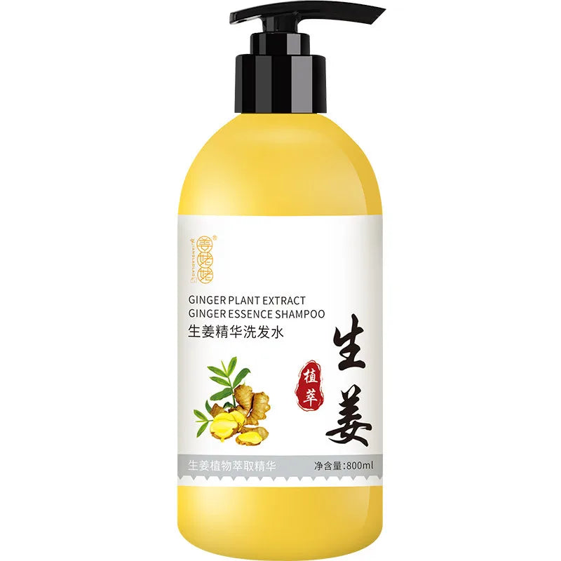 Ginger shampoo Refreshing oil-controlled, Anti-dandruff Nourish gentleness soothing.