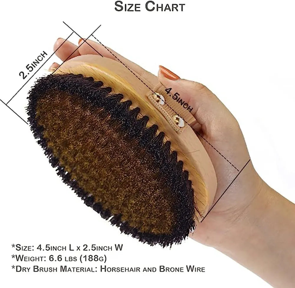 Natural Beech Bristle Brush Bath Brush Meridian Dredging Body Beech Wood Dry Brush Exfoliatin Massage Control Blood Circulation