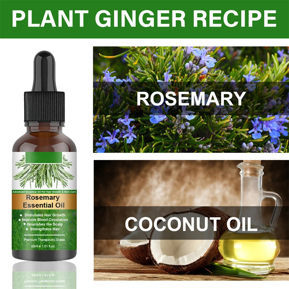 30ml Rosemary Essential Oil For Hair Rosemary Hair Faster Regrowth Oil Anti-frizz Hair Growth Anti Hair Loss Care Treatments